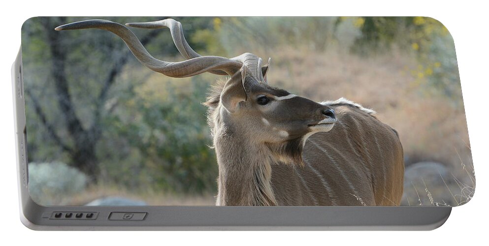 Greater Kudu Portable Battery Charger featuring the photograph Greater Kudu 4 by Fraida Gutovich
