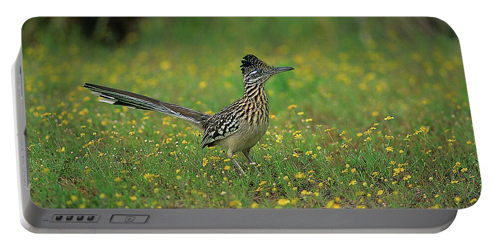 Greater Roadrunner Portable Battery Charger featuring the photograph Greater Roadrunner by Tony Beck