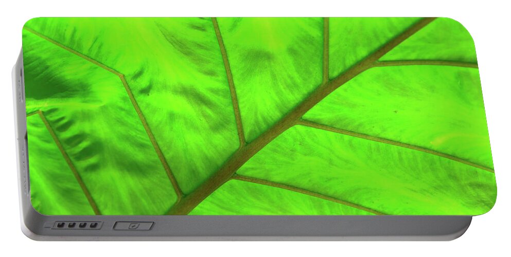 Eden Project Portable Battery Charger featuring the photograph Green Abstract No. 5 by Helen Jackson