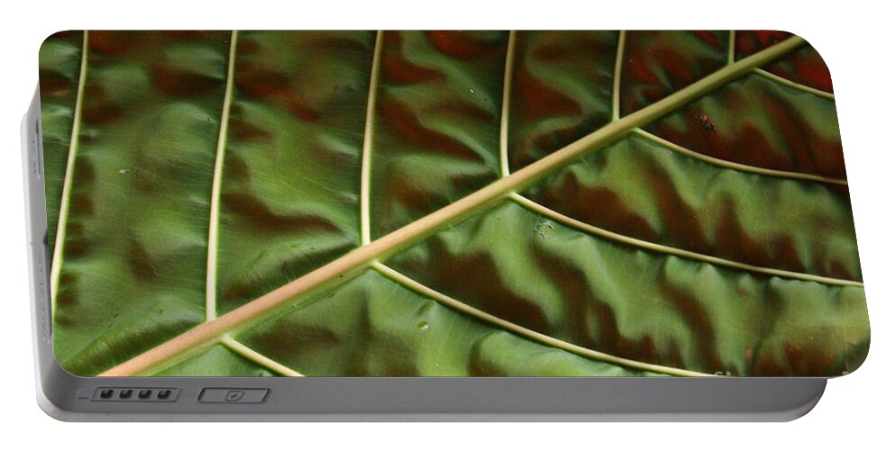 Hawaiian Lilly Pads Portable Battery Charger featuring the photograph Green and Red Leaf Silky Dunes 1 by Jennifer Bright Burr