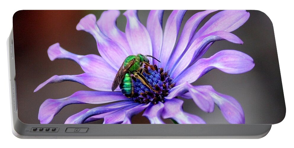 Green Bee Portable Battery Charger featuring the photograph Green Bee Electrified by Carol Groenen