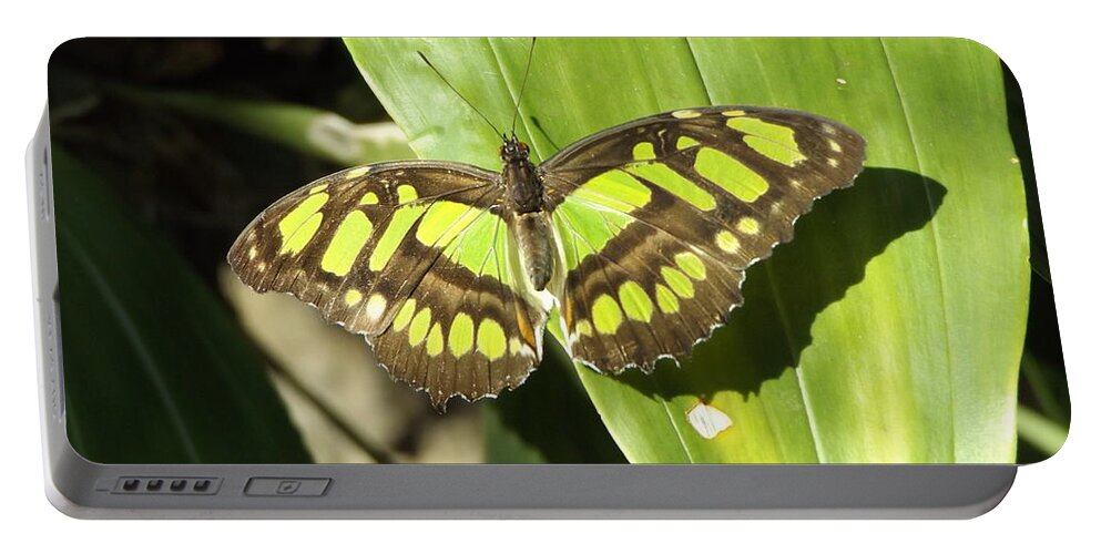 Green Portable Battery Charger featuring the photograph Green Butterfly by Erick Schmidt