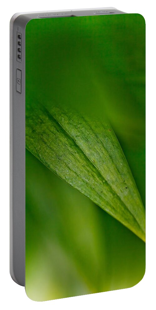 Leaf Portable Battery Charger featuring the photograph Green Edges by Az Jackson