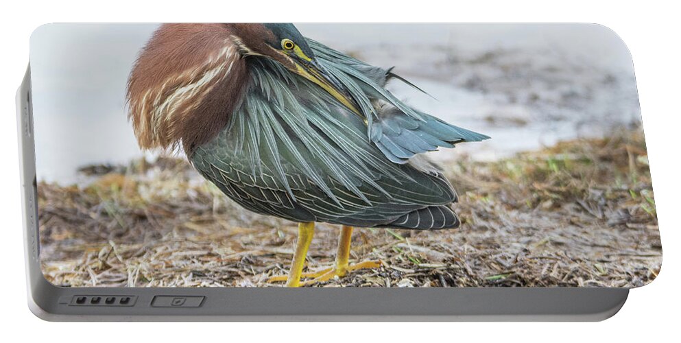 Green Portable Battery Charger featuring the photograph Green Heron 1334 by Tam Ryan