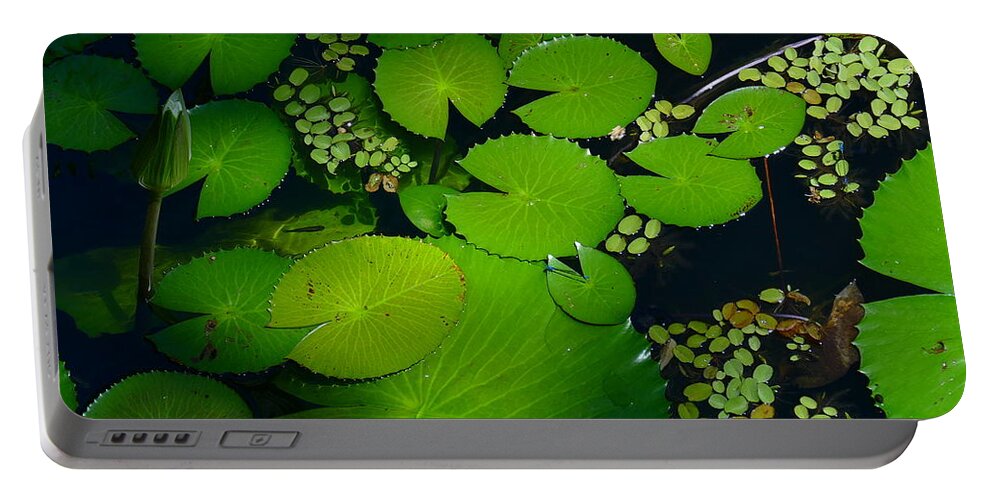 Leaves; Pond; Lotus; Dragon Fly; Australia; Green; Plant; Tropical; Queensland; Water; Portable Battery Charger featuring the photograph Green Islands by Evelyn Tambour
