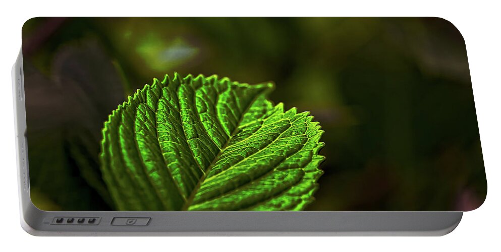 Green Portable Battery Charger featuring the photograph Green Leaf by Richard Gregurich
