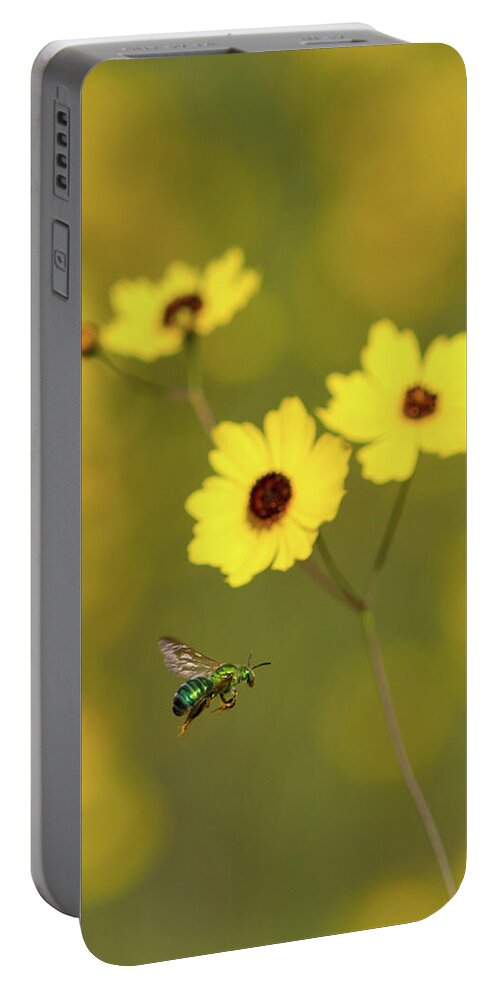 Bee Portable Battery Charger featuring the photograph Green Metallic Bee by Paul Rebmann