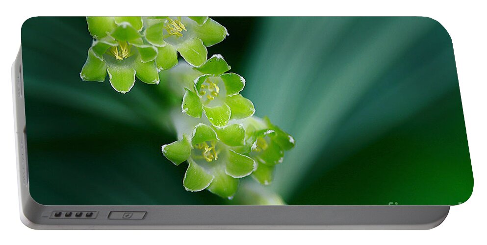 Flowers Portable Battery Charger featuring the photograph Green On Green by Deborah Benoit
