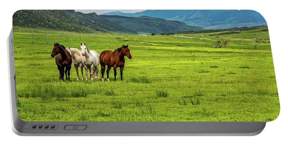 Jon Burch Portable Battery Charger featuring the photograph Green Pastures by Jon Burch Photography