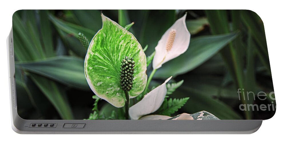 Garden Portable Battery Charger featuring the photograph Green by Russell Brown