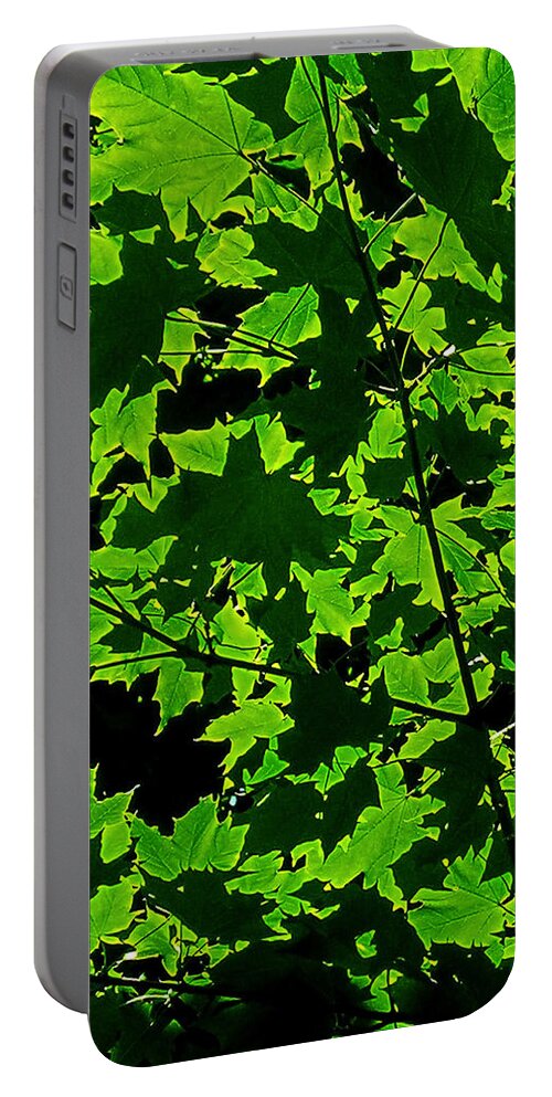 Tree Portable Battery Charger featuring the photograph Green Shadows by Juergen Weiss