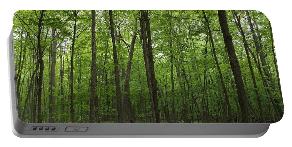 Trees Portable Battery Charger featuring the photograph Green Trees by Erick Schmidt