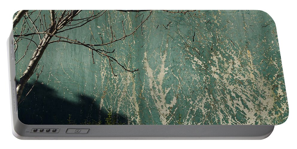 Green Portable Battery Charger featuring the photograph Green Wall Abstract by Erik Burg
