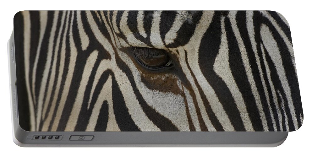 Mp Portable Battery Charger featuring the photograph Grevys Zebra Equus Grevyi Close by Zssd