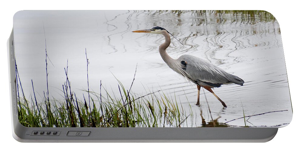 Avian Portable Battery Charger featuring the photograph Grey Heron #3 by Tim Bond