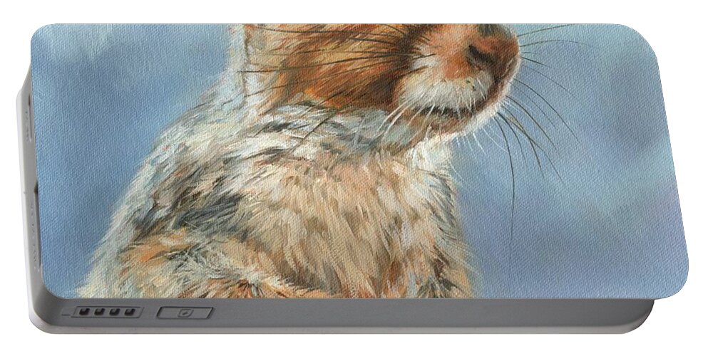 Squirrel Portable Battery Charger featuring the painting Grey Squirrel by David Stribbling