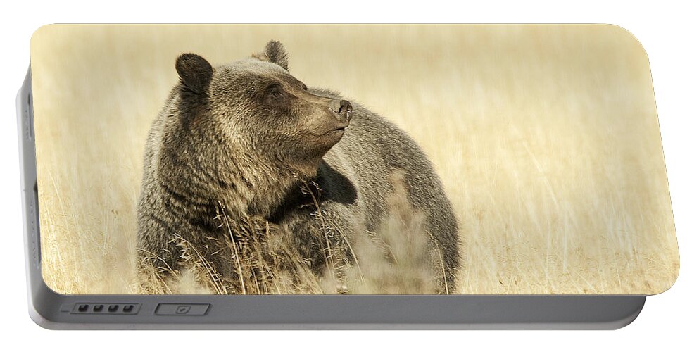 Grizzly Portable Battery Charger featuring the photograph Grizzly Bear by Gary Beeler