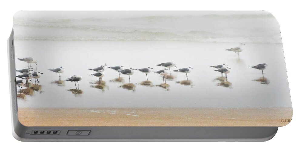 Birds Portable Battery Charger featuring the photograph Grounded By Fog by Christopher Holmes