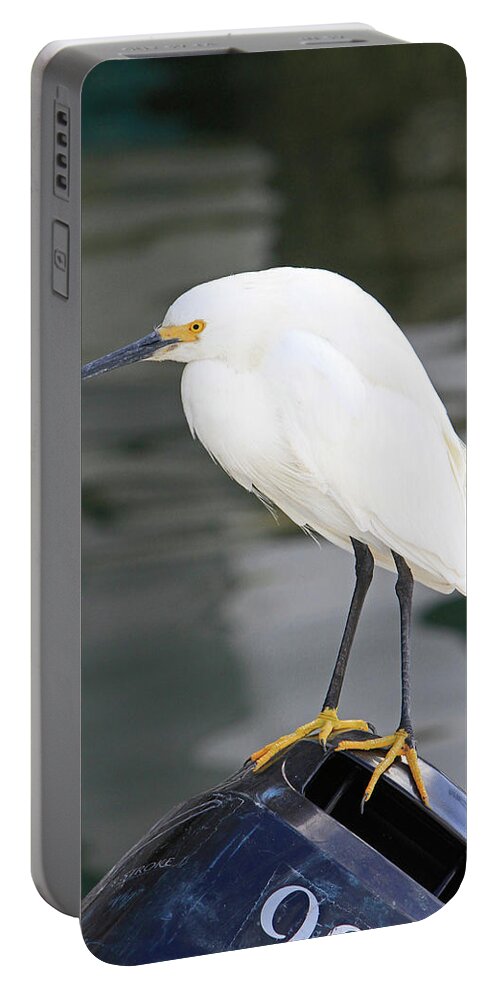 Egret Portable Battery Charger featuring the photograph Gru? by Shoal Hollingsworth