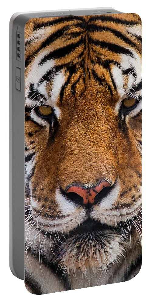 Heidenreich Portable Battery Charger featuring the photograph Hunter's Displeasure by American Landscapes