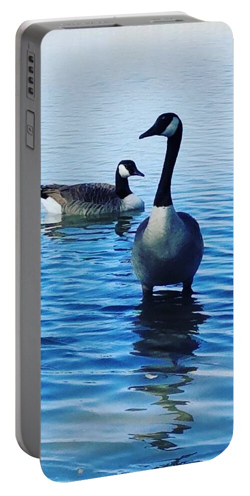Geese Portable Battery Charger featuring the photograph Guarding Geese by Vic Ritchey