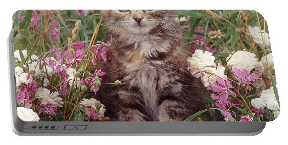Fluffy Portable Battery Charger featuring the photograph Guarding the Garden by Warren Photographic