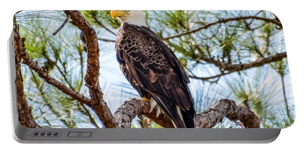 Nest Portable Battery Charger featuring the photograph Guarding the Nest by Lisa Kilby