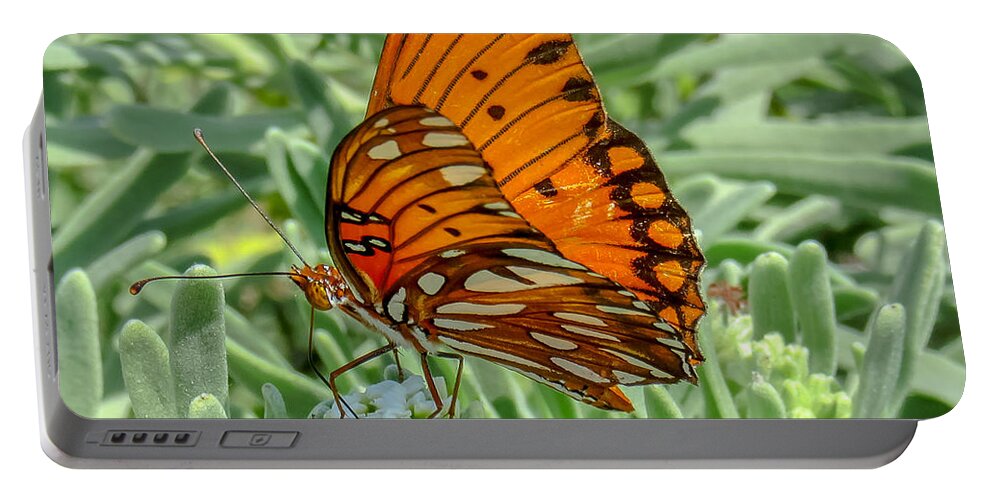 Cheryl Baxter Photography Portable Battery Charger featuring the photograph Gulf Fritillary by Cheryl Baxter