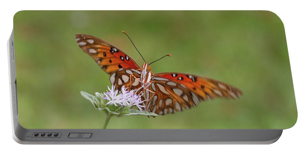 Butterfly Portable Battery Charger featuring the photograph Gulf Fritillary on Elephantsfoot by Paul Rebmann
