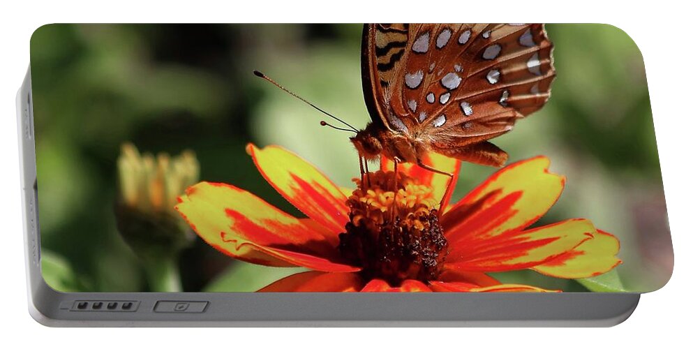 Gulf Fritillary Portable Battery Charger featuring the photograph Gulf Fritillary On Red And Yellow Flower by Carol Montoya