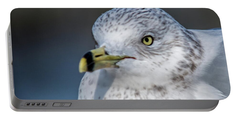 Gull Portable Battery Charger featuring the photograph Gull 0070 by Cathy Kovarik
