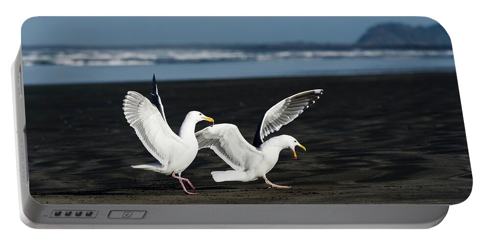 Beaches Portable Battery Charger featuring the photograph Gulls In Love by Robert Potts