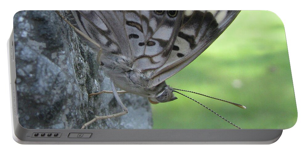 Insect Portable Battery Charger featuring the photograph Hackberry Emperor Butterfly by Donna Brown