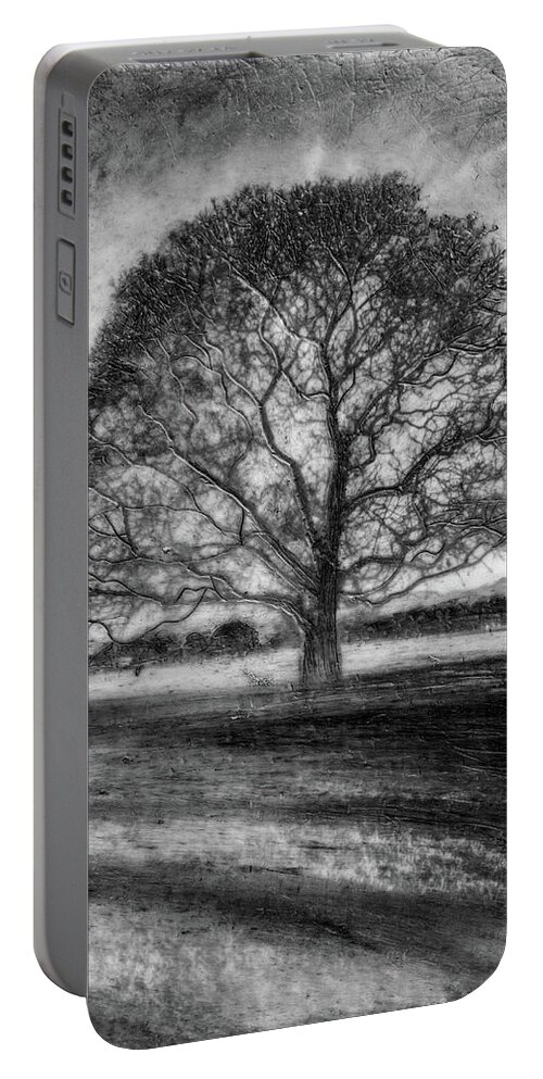 Trees Portable Battery Charger featuring the mixed media Hagley Tree 2 by Roseanne Jones