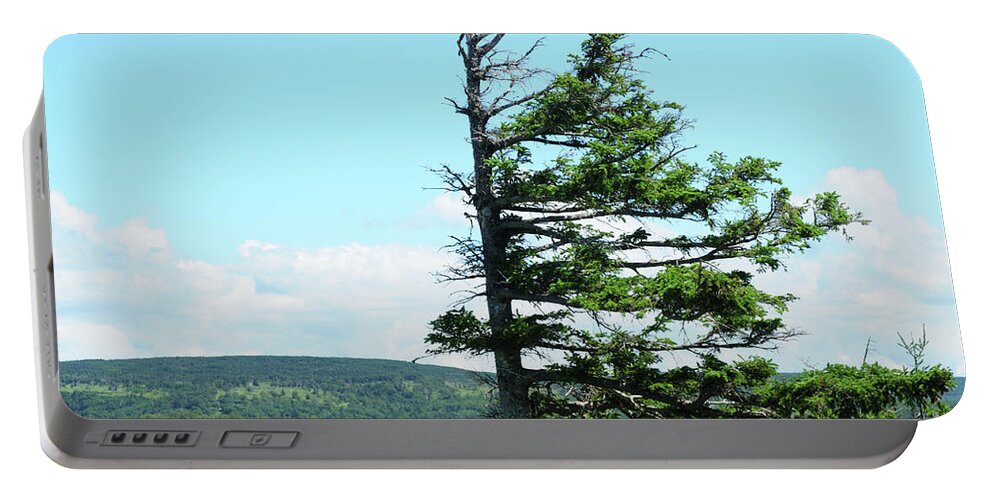 Weathered Tree Portable Battery Charger featuring the photograph Halved Pine by Joe Ng