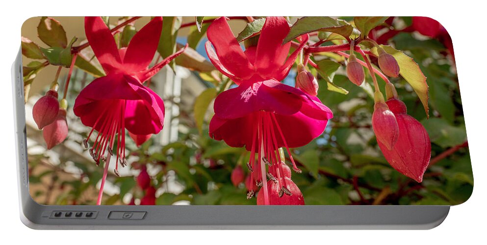 Flower Portable Battery Charger featuring the photograph Hanging Around by Derek Dean