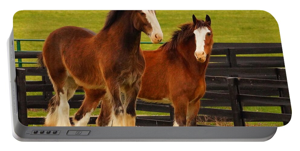 Horses Portable Battery Charger featuring the photograph Hanging With My Friend by Beth Collins