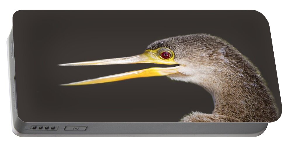 Anhinga Portable Battery Charger featuring the photograph Happy Anhinga by Mark Andrew Thomas