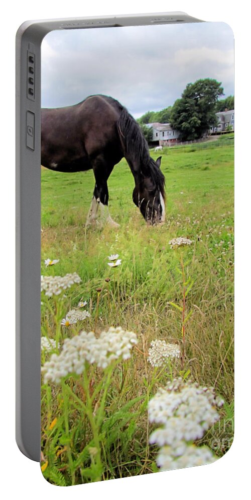 Horse Portable Battery Charger featuring the photograph Happy as a Horse by Elizabeth Dow