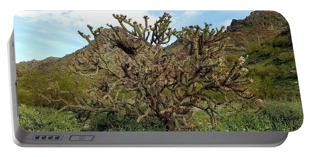 Gorgeous Cholla Cactus Tree In The Phoenix Mountain Preserve Portable Battery Charger featuring the photograph Happy Cholla Tree by Sarah Marie