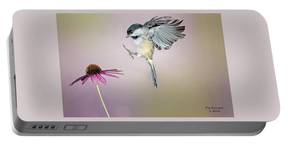 Bird Landing On Flower Portable Battery Charger featuring the photograph Happy Feet by Peg Runyan