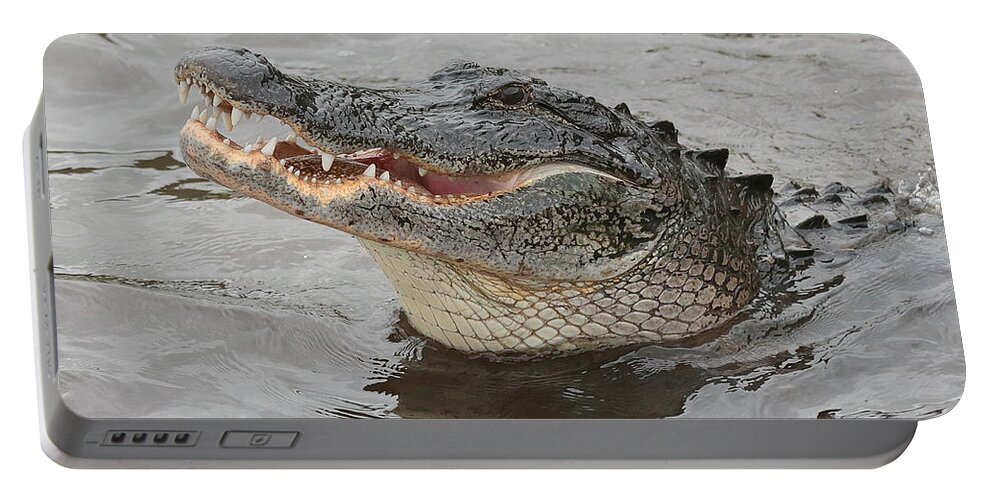Gator Portable Battery Charger featuring the photograph Happy Florida Gator by Carol Groenen