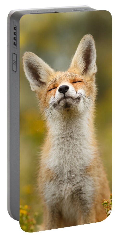 Red Fox Portable Battery Charger featuring the photograph Happy Fox by Roeselien Raimond