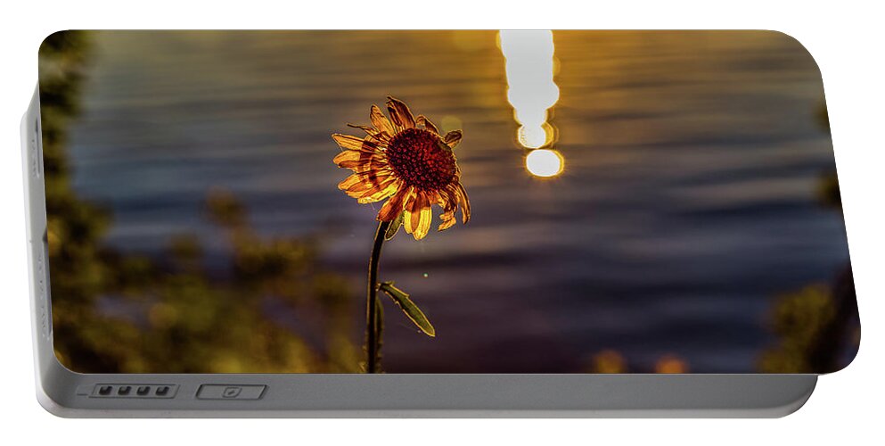 Flower Portable Battery Charger featuring the photograph Happy Sunday by Joe Holley