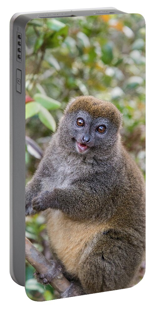 Lemur Portable Battery Charger featuring the photograph Happy to See You by Alex Lapidus
