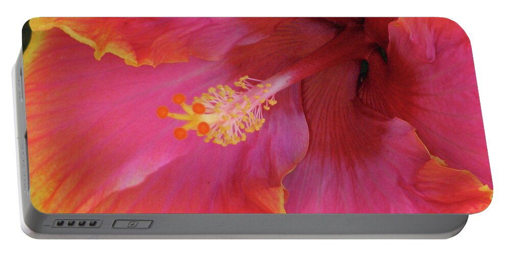 Hibiscus Portable Battery Charger featuring the photograph Hawaiian Hibiscus - Orange and Red 06 by Pamela Critchlow