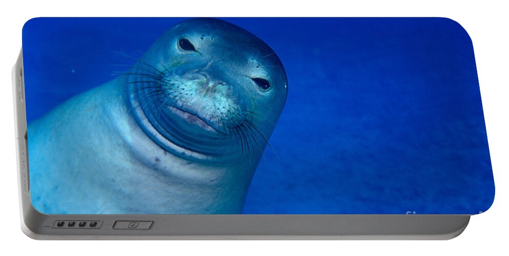 Animal Art Portable Battery Charger featuring the photograph Hawaiian Monk Seal by Ed Robinson - Printscapes