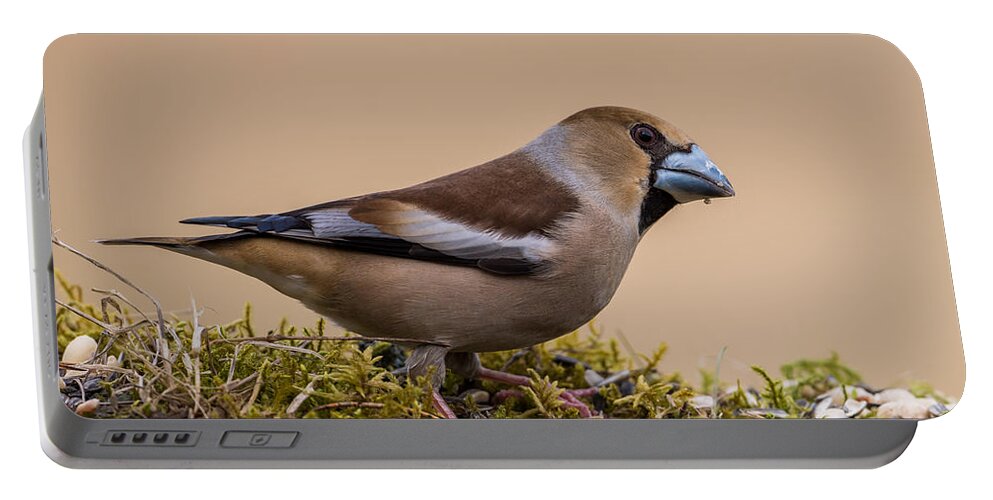 Hawfinch's Beak Portable Battery Charger featuring the photograph Hawfinch's beak by Torbjorn Swenelius