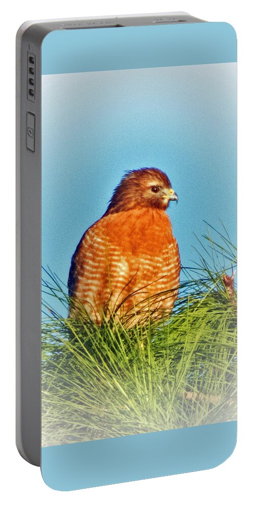 Wildlife Portable Battery Charger featuring the photograph Hawk High by T Guy Spencer