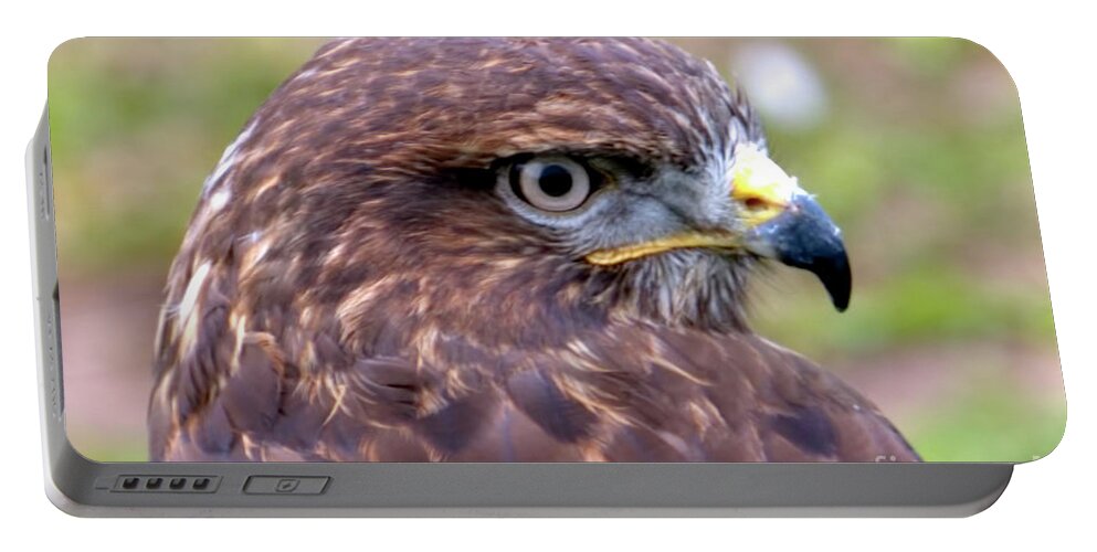 Bird Portable Battery Charger featuring the photograph Hawks eye view by Stephen Melia